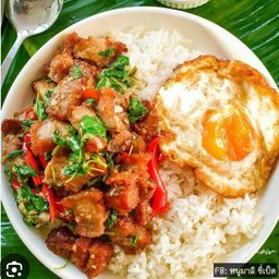 ข้าวราดกระเพราไก่