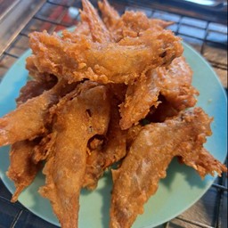 ปลายปีกทอด