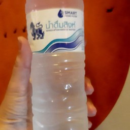 น้ำดื่มสิงห์ 600 มล.