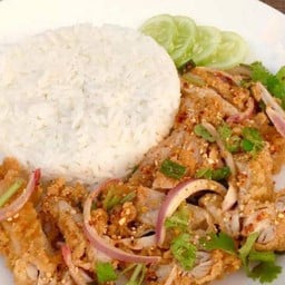 1แอมป์กระเพราเผ็ด(ปากหาด) ชายทะเลปากทาด