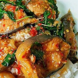 กะเพราปลาดุกสดราดข้าว