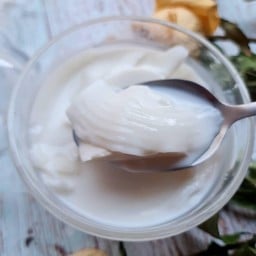 พุดดิ้งมะพร้าวอ่อน