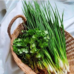 ขนมจีนน้ำปลาร้า