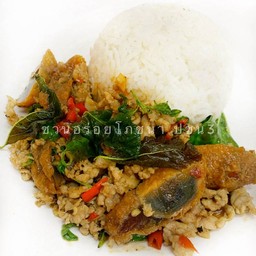 D ข้าวราดไข่เยี่ยวม้ากะเพรา หมูสับ