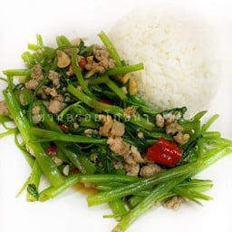 D ข้าวราดผัดผักบุ้ง หมูสับ