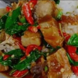 ราดข้าวหมูกรอบกะเพรา/พริกเผา