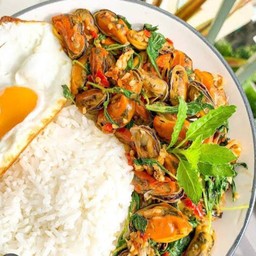 ข้าวกระเพราหอยแมลงภู่+ไข่ดาว