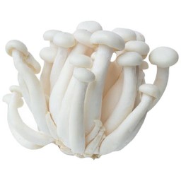 เห็ดหลินขาว