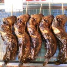 ปลาดุกย่าง