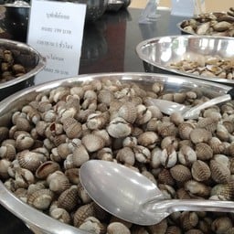 ล้านนัวร์ แจ้งวัฒนะ-ปากเกร็ด19