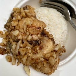 ปลากะพงทอดกระเทียม