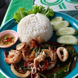 กระเพราทะเล หมึกกุ้ง