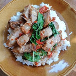 กะเพราหมูกรอบ อาหารตามสั่ง คู้บอน