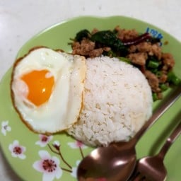 นก ตามสั่ง