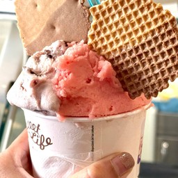 Gelateria Sweet Life