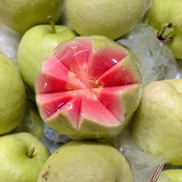 ฝรั่งไส้แดง(หงส์เป่าสือ)