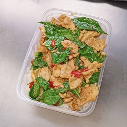 ผัดโหระพา (ราดข้าว)