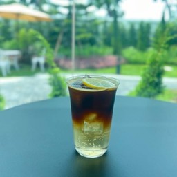 Black Tropical 