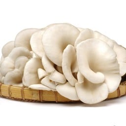 เห็ดนางฟ้า ชุปแป้งทอด