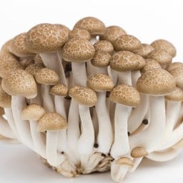 เห็ดชิเมจิ ชุปแป้งทอด