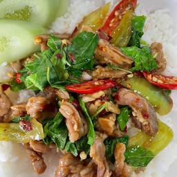 ผัดกะเพราหมูชิ้นราดข้าว