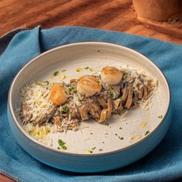 ทรัฟเฟิลอัลเฟรโด้หอยเชลล์ญี่ปุ่น