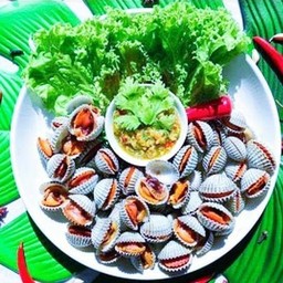 ลวกจิ้มหอยแครงไซส์ XXL 135ตัว ไซส์90-95ตัวโล