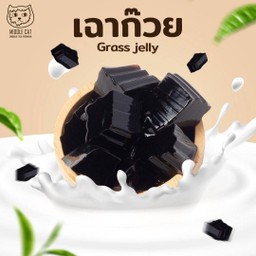 บุกเฉาก๊วย