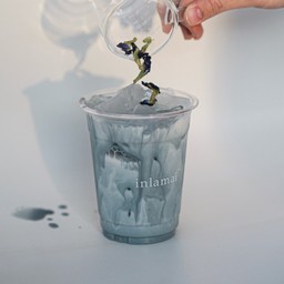 Milk Nabi (นมอัญชัญมะลิ) (Delivery)