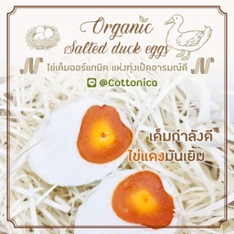 ลูกชิ้นทอด น้ำจิ้มยืนฟิน! ทำสด รสเด็ด CENTRAL FRESH