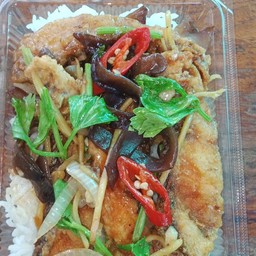 ปลาผัดขิงราดข้าว