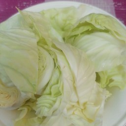 กะหล่ำ(กรณีอยากได้เพิ่ม)