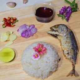 ข้าวปลาทังชีวิต