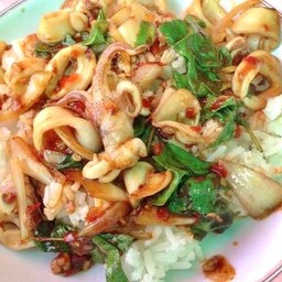 ข้าวกะเพราปลาหมึกราดข้าว