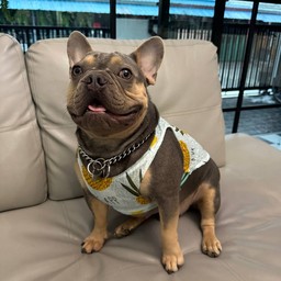 สโมกกี้ไบท์ในตำนาน (พฤกษา 82)