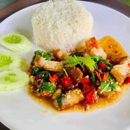 ข้าวกระเพราหมูกรอบ