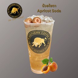 บ๊วยโซดา (Apricot Soda)