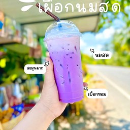 นมเผือก