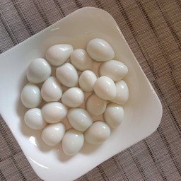 เพิ่ม ไข่นกทา