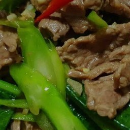 เนื้อน้ำมันหอย ใส่คะน้า  (กับข้าว)