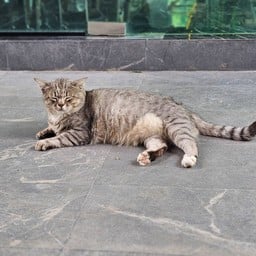 ไร่ทรัพย์ประยูร