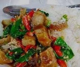 ข้าวกระเพาหมูกรอบ