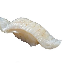 ครีบปลาตาเดียว