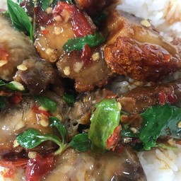 กระเพราหมูกรอบราดข้าว