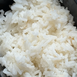 ข้าวเปล่า (ข้าวหอมมะลิอย่างดี ตราไดโนเสาร์)
