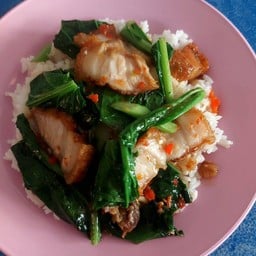 ผัดคะน้า