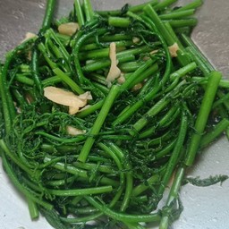 ผักกูดผัดน้ำมันหอย