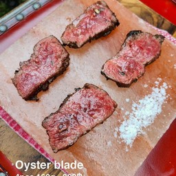 Oyster Blade 2 GR