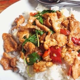 ข้าวกะเพราหมูชิ้น