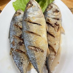 ปลาทูทอดราดน้ำปลา.